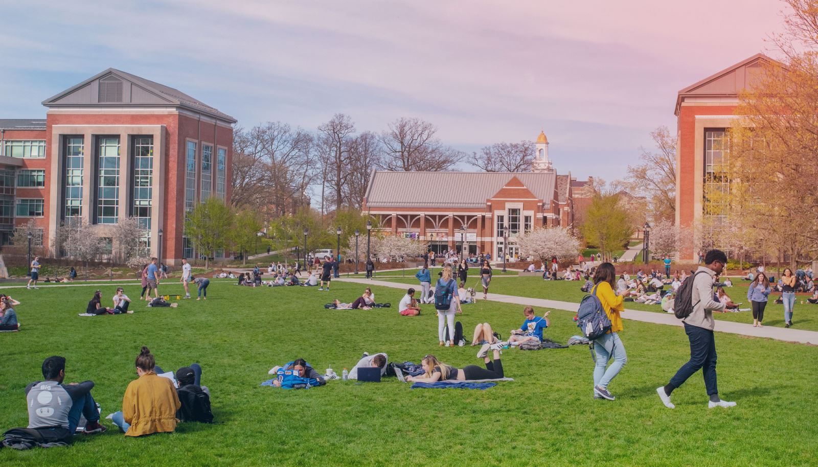 Storrs Campus Tour Options